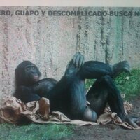 jose luis lugo (@eljose68) 's Twitter Profile