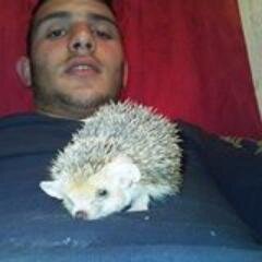 veysi456's profile picture. 