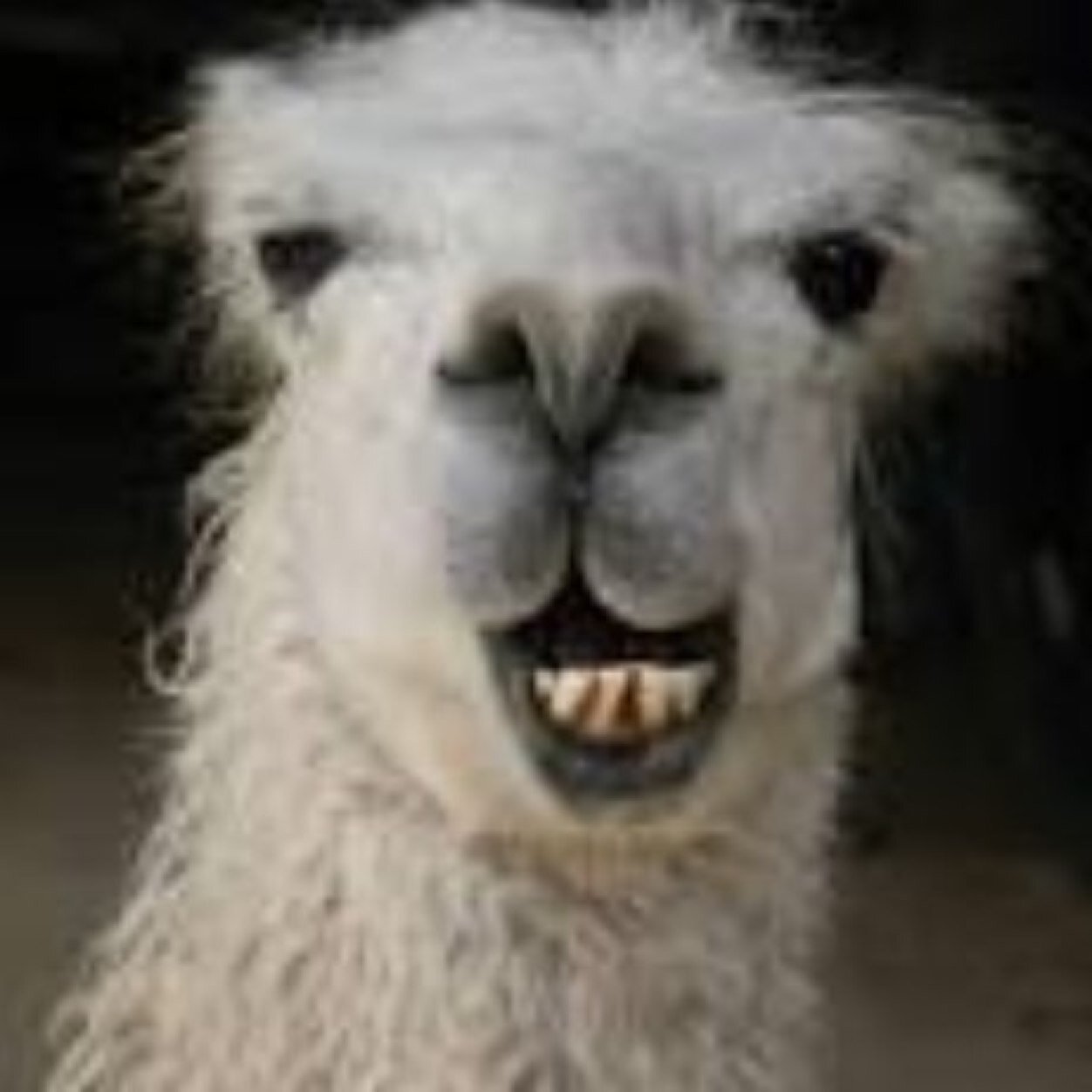 sclitary10's profile picture. @sclitary