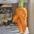 kitchentwit's profile image