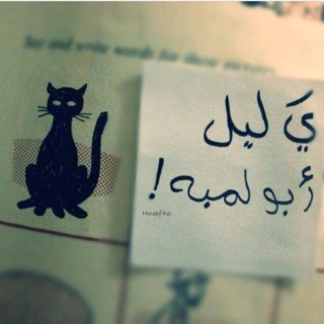 الدعوى  فرفشه وسعة صدر