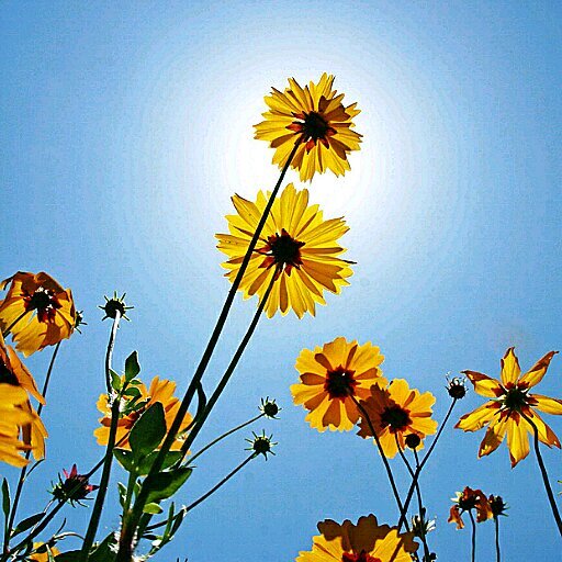 becky_pettus's profile picture. 