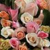 Sussex Roses (@sussexroses) Twitter profile photo Sussex Roses (@sussexroses) Twitter profile photo