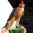 LatifaAlrayes's profile image