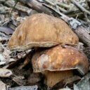 Adriano Rossi - @f7004eb444d4419 - Twitter