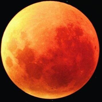 October_Moons's profile picture. 