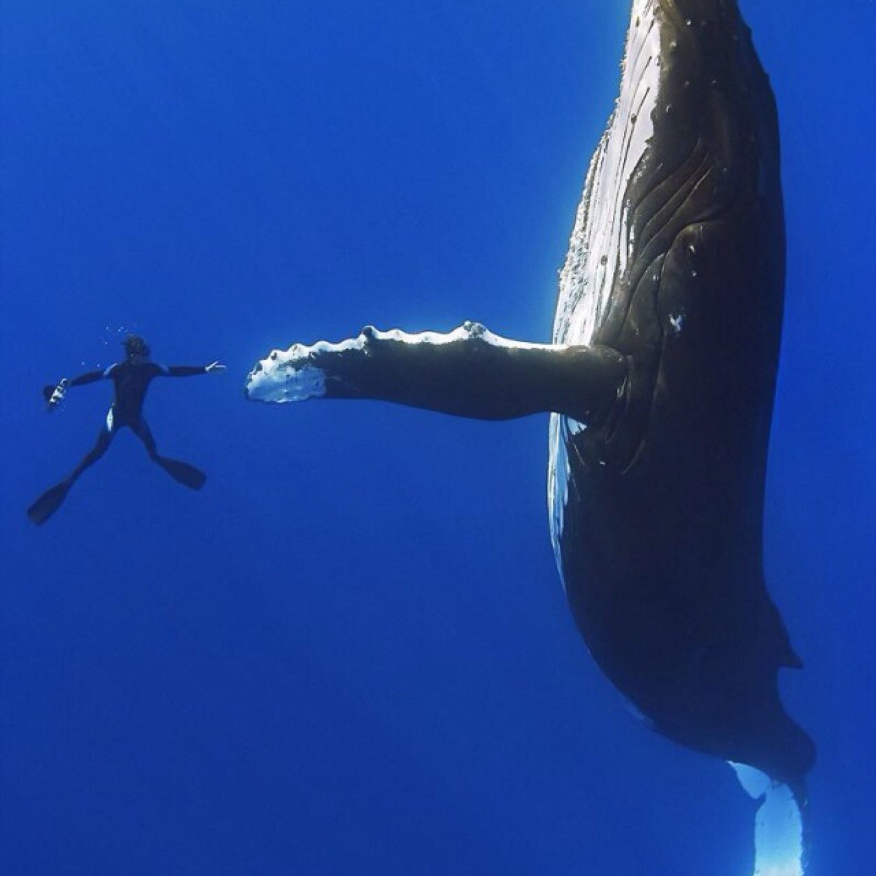 Padre de 3 hijos, viudo, amo a Cristo por encima de todo, a El debo todo, amo la naturaleza y la honradez sobre todo