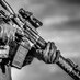 Centurion Arms (@centurion_arms) Twitter profile photo