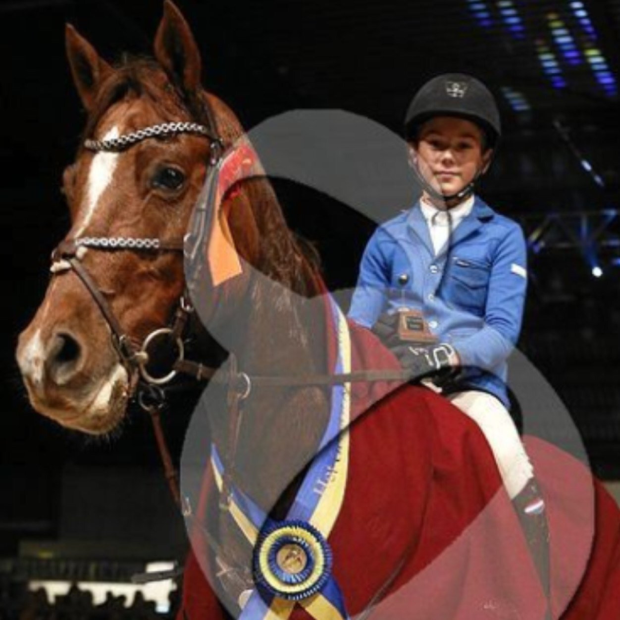 Horseriding#showjumping#ZZ