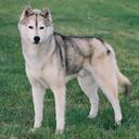 Gordon Carmichael - @FIREGODLOKI - Twitter