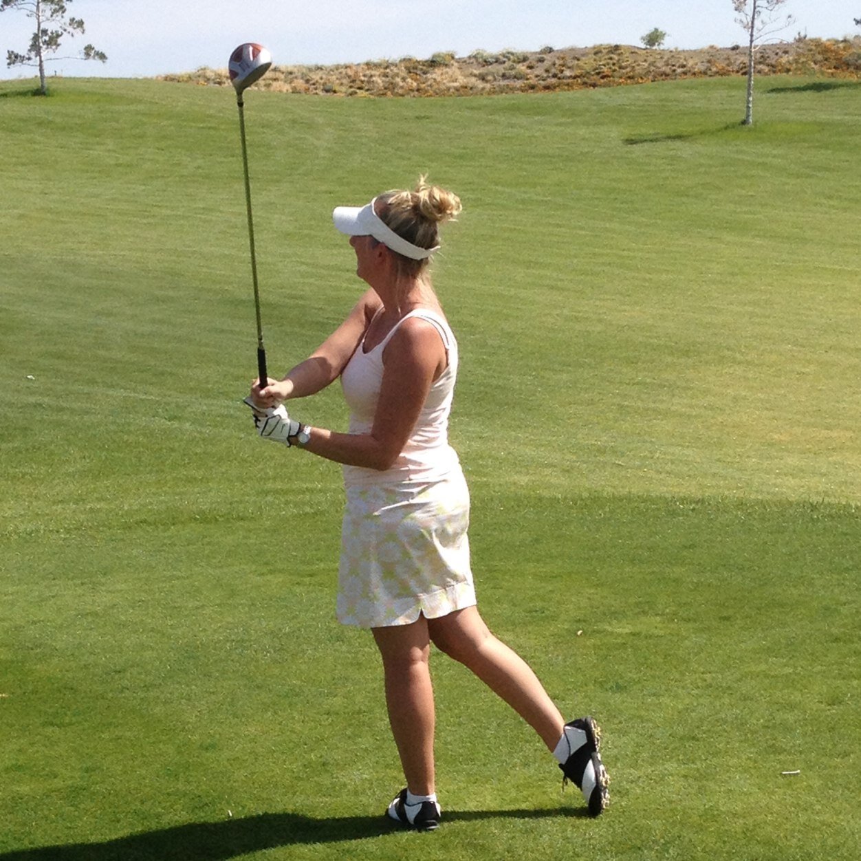 MN Wild & Twins fan. Teacher. Golf Coach. Self proclaimed science nerd.