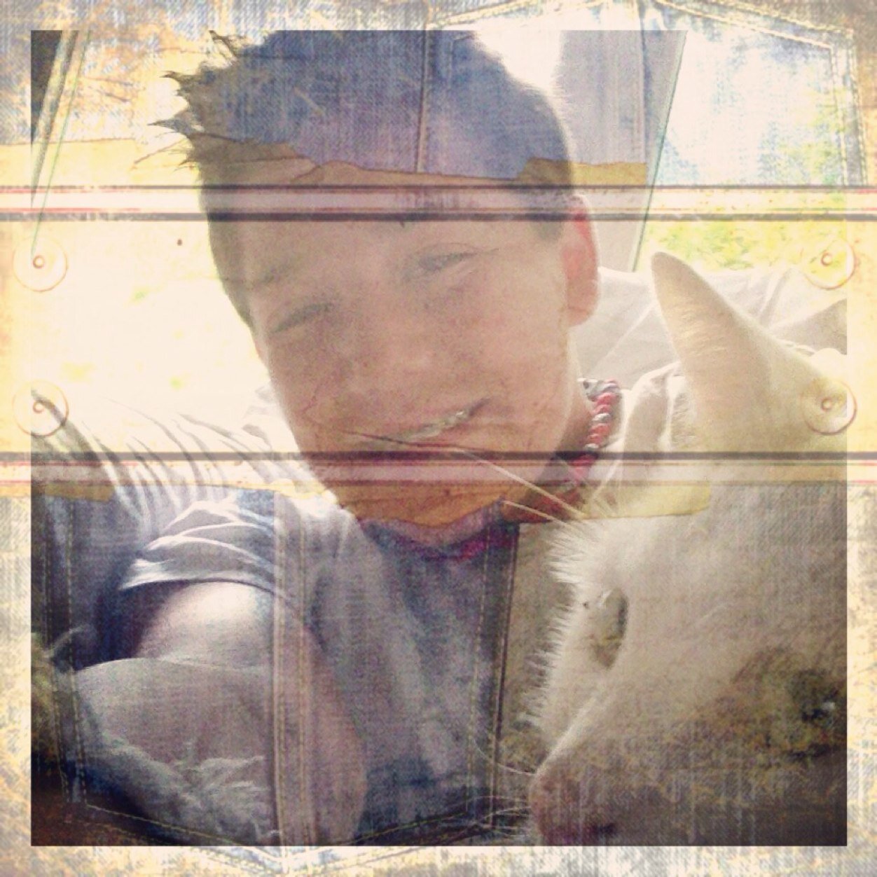 DibelloSam's profile picture. 