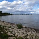 Laura Sawchuk - @SawchukLaura - Twitter