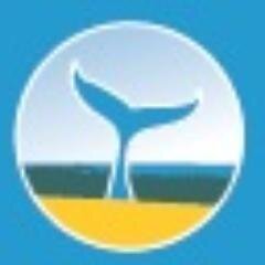 Somos Tu mejor compañero de viaje en Ecuador!