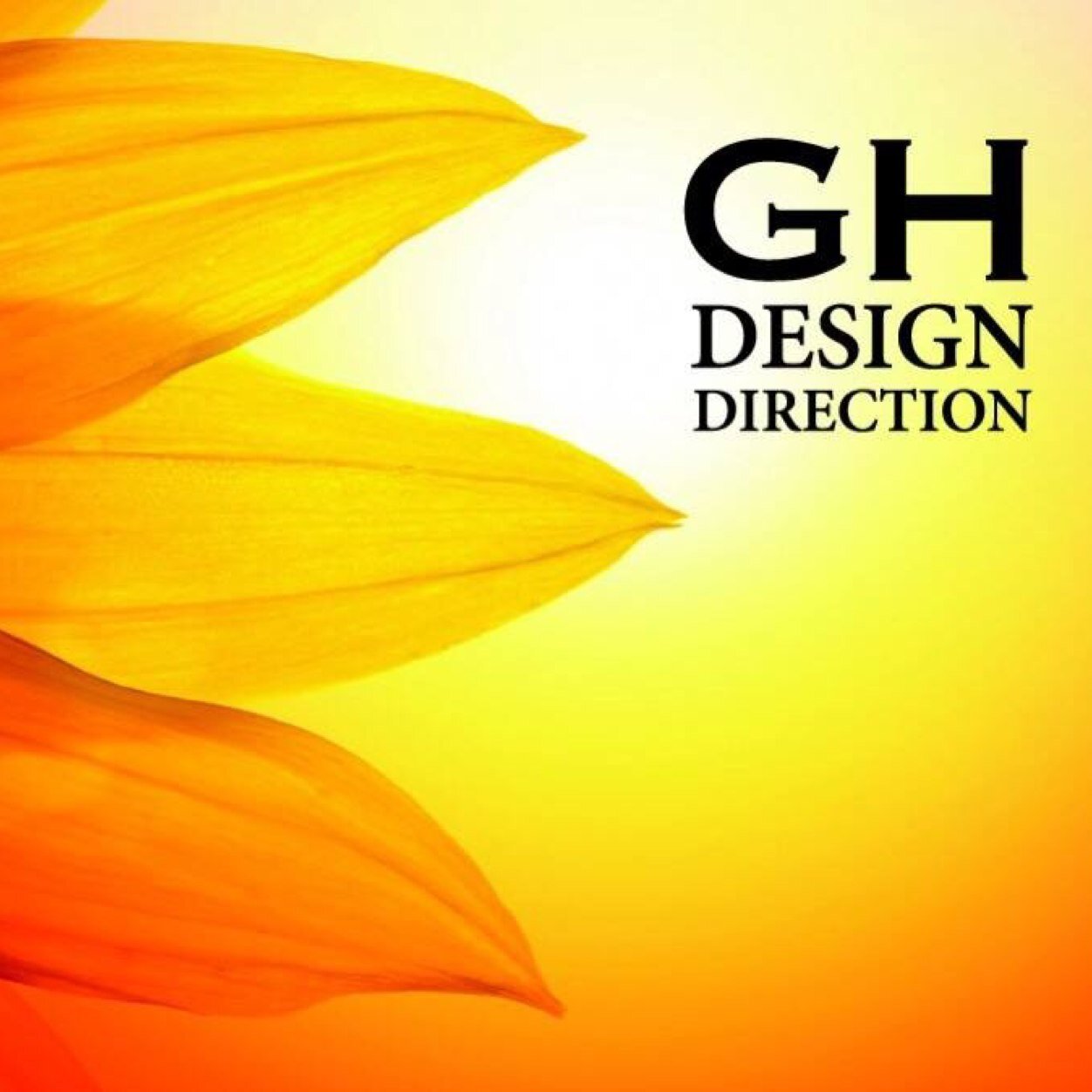 DesignDirect77's profile picture. 