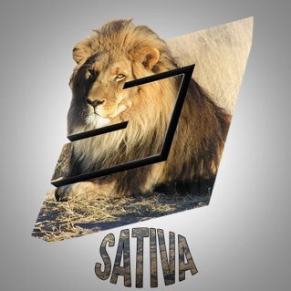 ValkFFA's profile picture. 