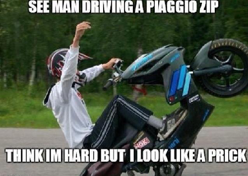 SollieHarding's profile picture. 