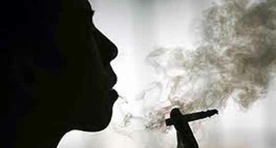 filosopetas's profile picture. Las paranas de un fumado