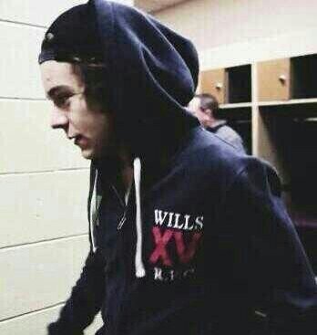 harry styles is better than words