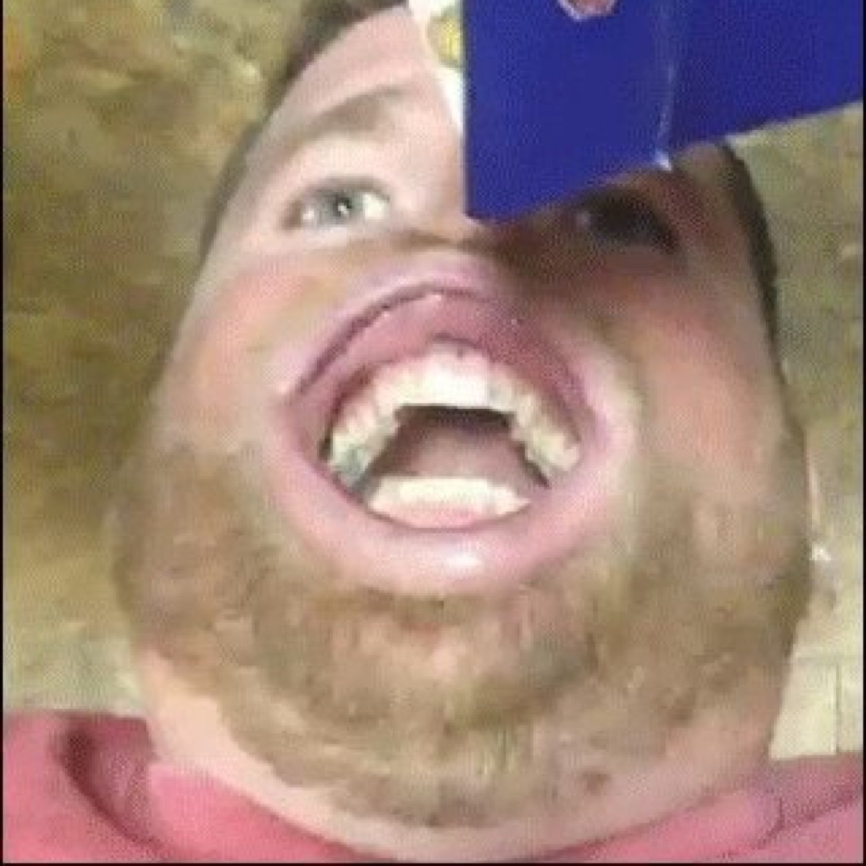 DuthieAidan's profile picture. I plan to follow the entire of twitter :) WELCOME TO THE GINGER ARMY (DON'T TELL THE NORMAL HAIRS ABOUT OUR SECRET IN TOTAL DOMINATION)