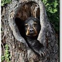 Jared Streeter - @JaredTStreeter - Twitter