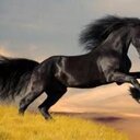 Catherine Earnshaw - @Egocentriccc - Twitter