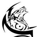 Cliff Stroud - @WolfeKruger - Twitter