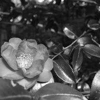 departure(お題bot) (@dpt_title_bot) Twitter profile photo