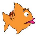 Gina Herring - @GinaHerringAid - Twitter