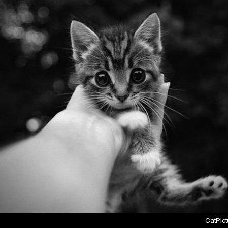 how to save a life?