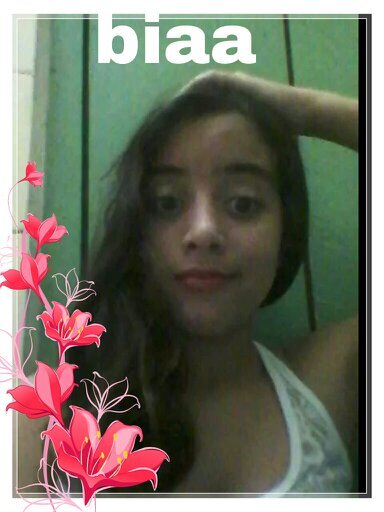 Adoro facebook, amo chocolate, amo estudar  3