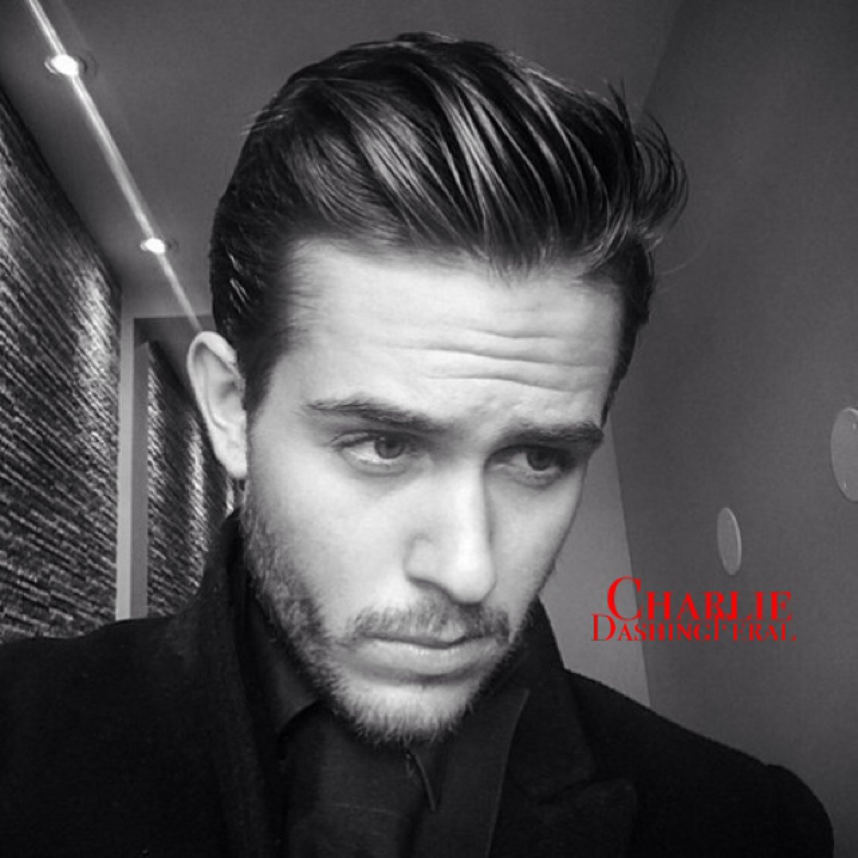 DashingFeral's profile picture. ||College student. Frat boy. Classy.|| [RP, 21+, Unclaimed]