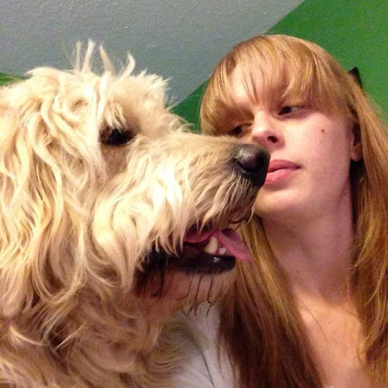 Higgibum's profile picture. 