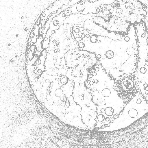 Funkedup76's profile picture. On an endless quest for knowledge, Fuelled by Music and creativity✌💜