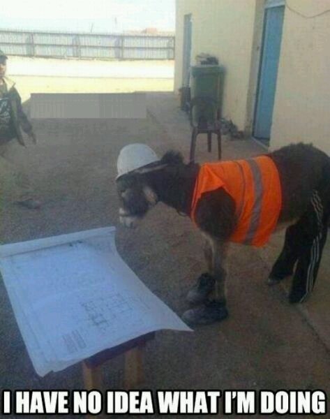 you're not my supervisor