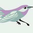 Kaitlin Walsh - @kaitsbanneryear - Twitter