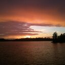 Jack Halliday - @Hallidaytomjack - Twitter