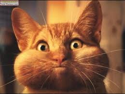 MathieuSardine's profile picture. 