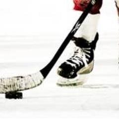 good defence in small hockey league and Dallas Stars fan