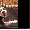 Nathan Singleton - @koketurmoil - Twitter