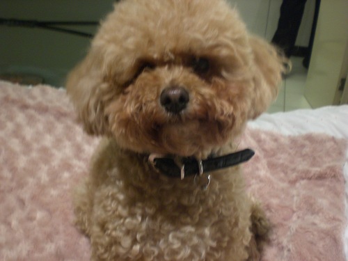 moodle1010's profile picture. I am a moodle....hear me roar!