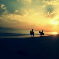 الهنوف (@shama346) Twitter profile photo