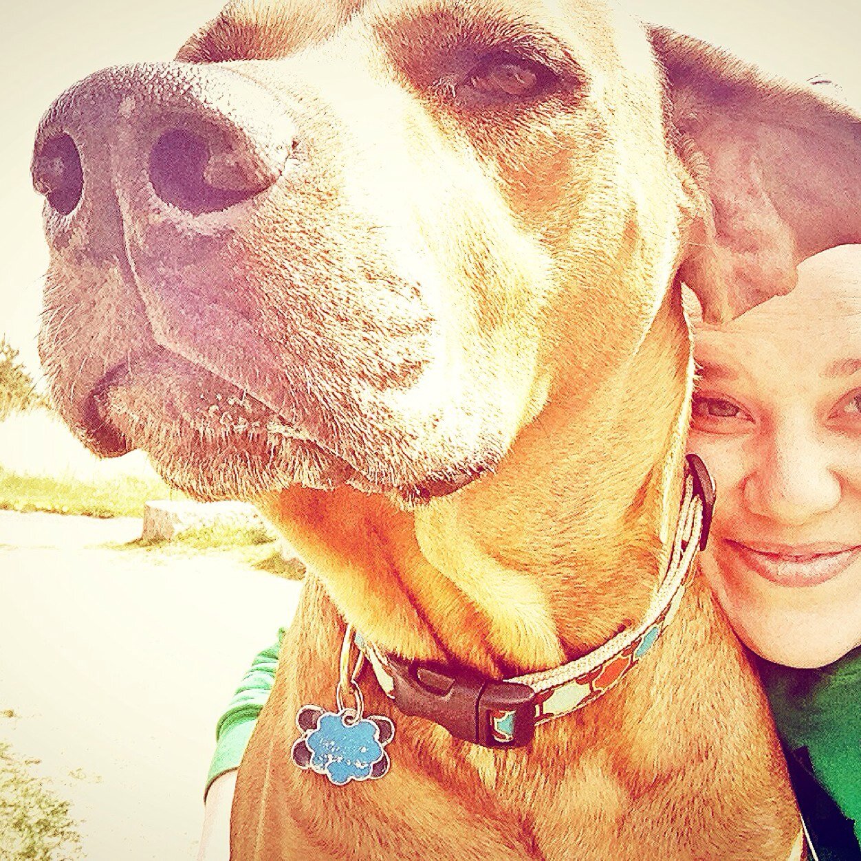 Dog Walking/Pet Sitting Service