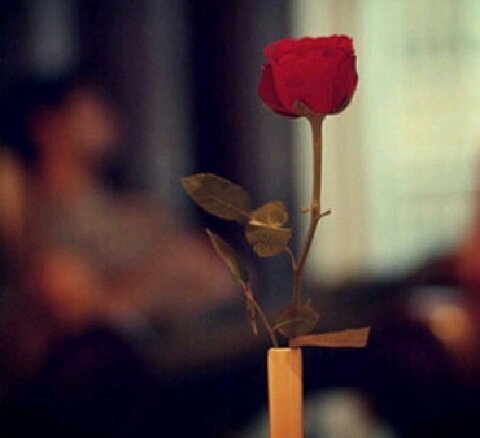 assddfg59's profile picture. ‏‏ابي اشوفك لين تتعب عيوني .♬