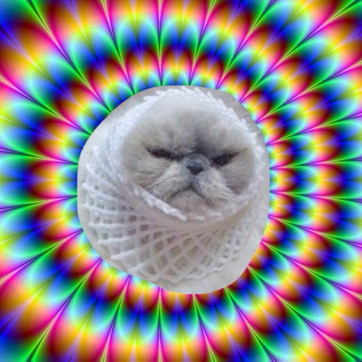 Retweet for a chance of getting one of your tweets photoshopped by us!!