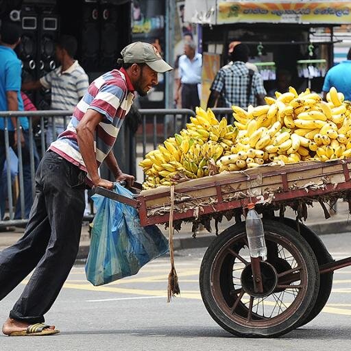 ElPlatanero_VE's profile picture. Anima urbana Venezolana - Meto mas miedo que Freddy Kruger - Me dio a conocer en el humor @elmegafono