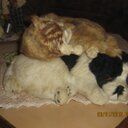 Wolfgang Hoffmann - @wohoffmann - Twitter