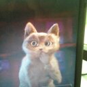 Alejandro Barreto - @ayeallob - Twitter