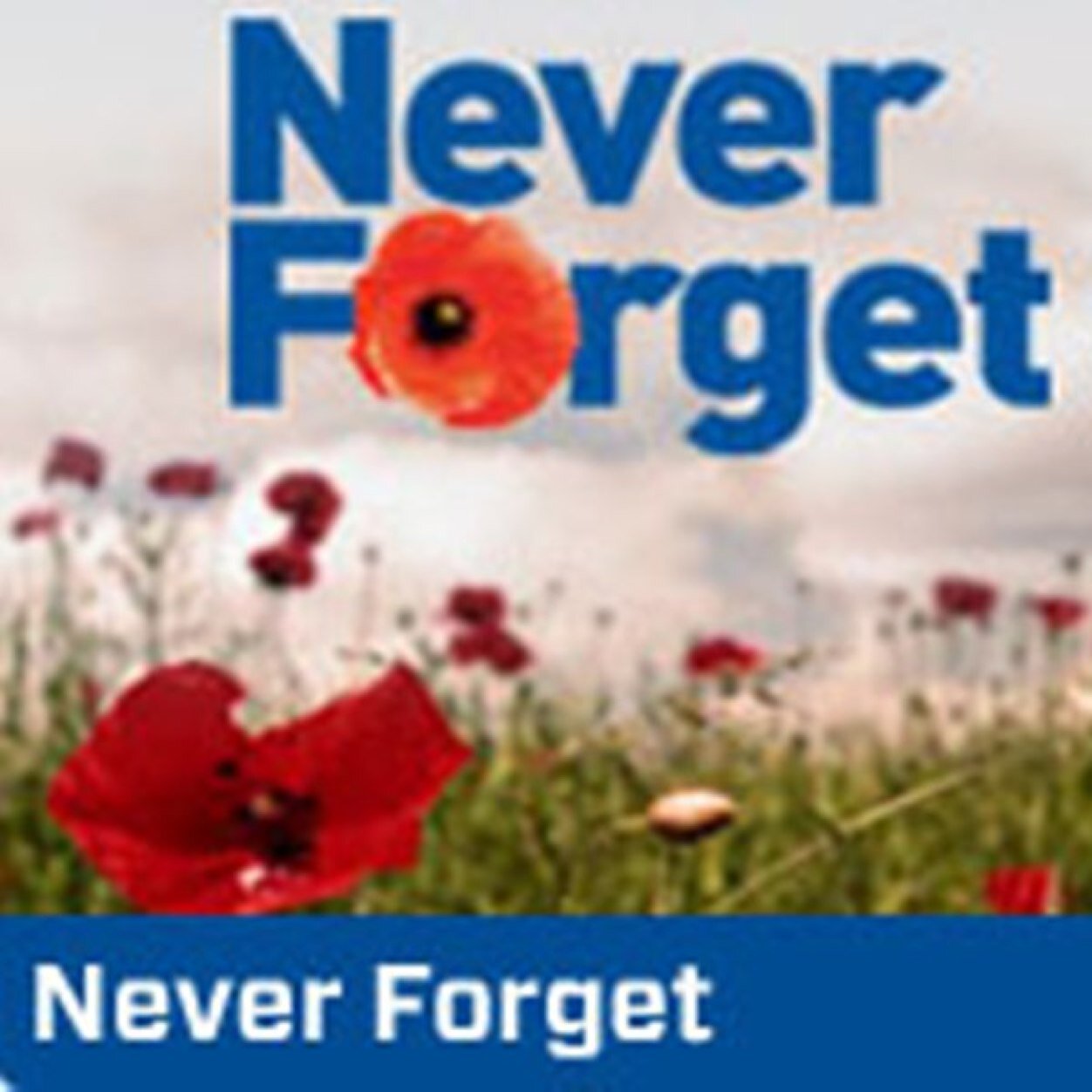 lawyerkhb's profile picture. Юрист, бизнесмен, руководитель регионального отделения одной из политических партий.