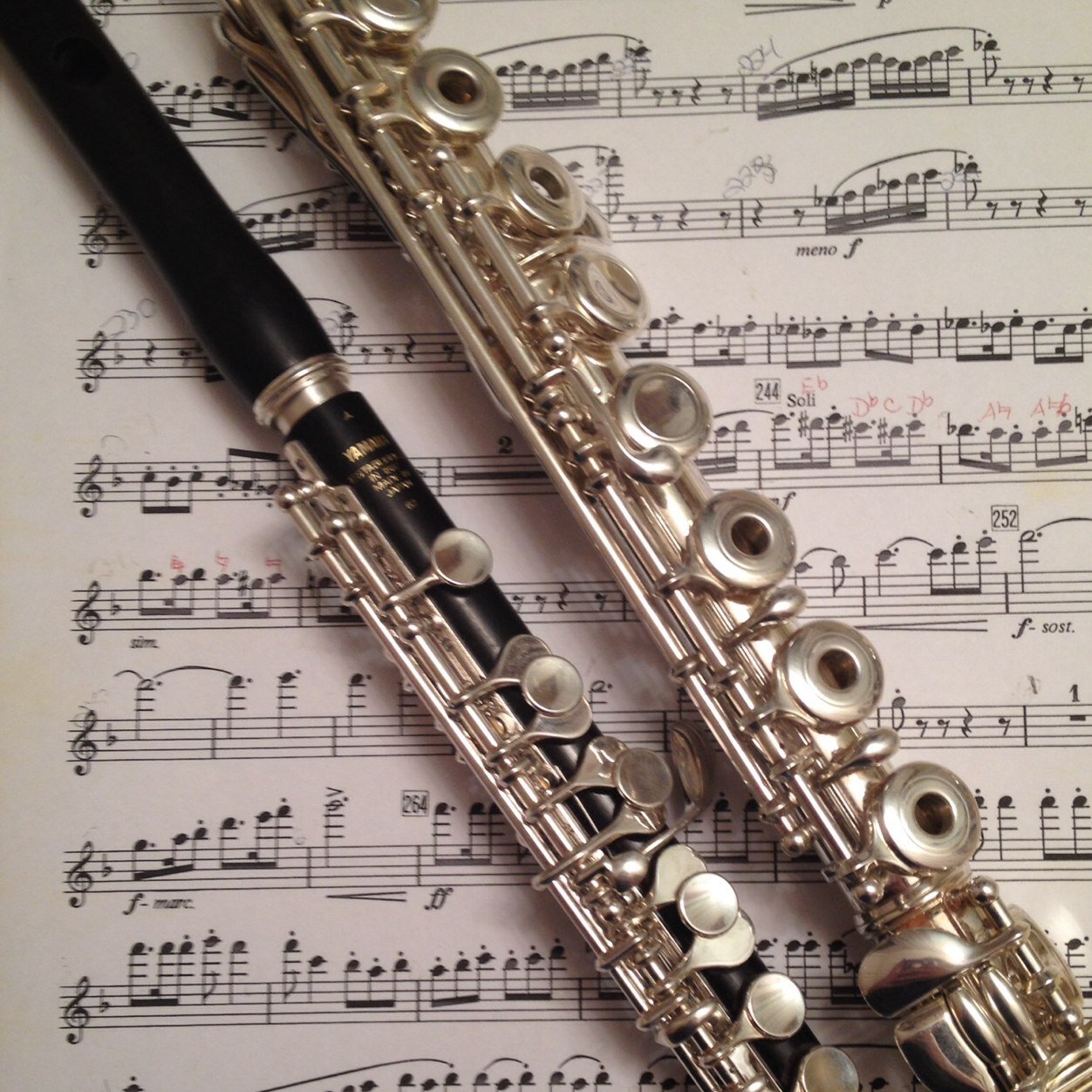 The flute life is the best life.